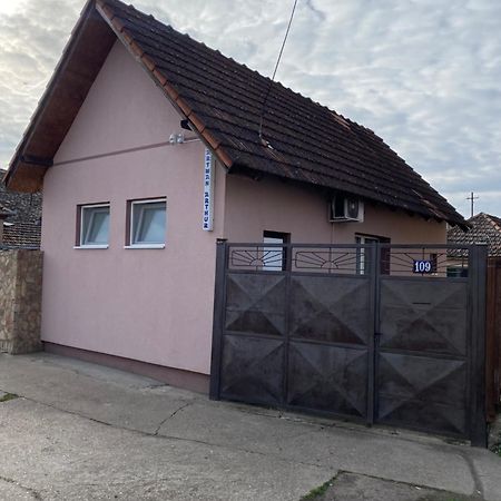 Kikinda Apartman Arthur מראה חיצוני תמונה