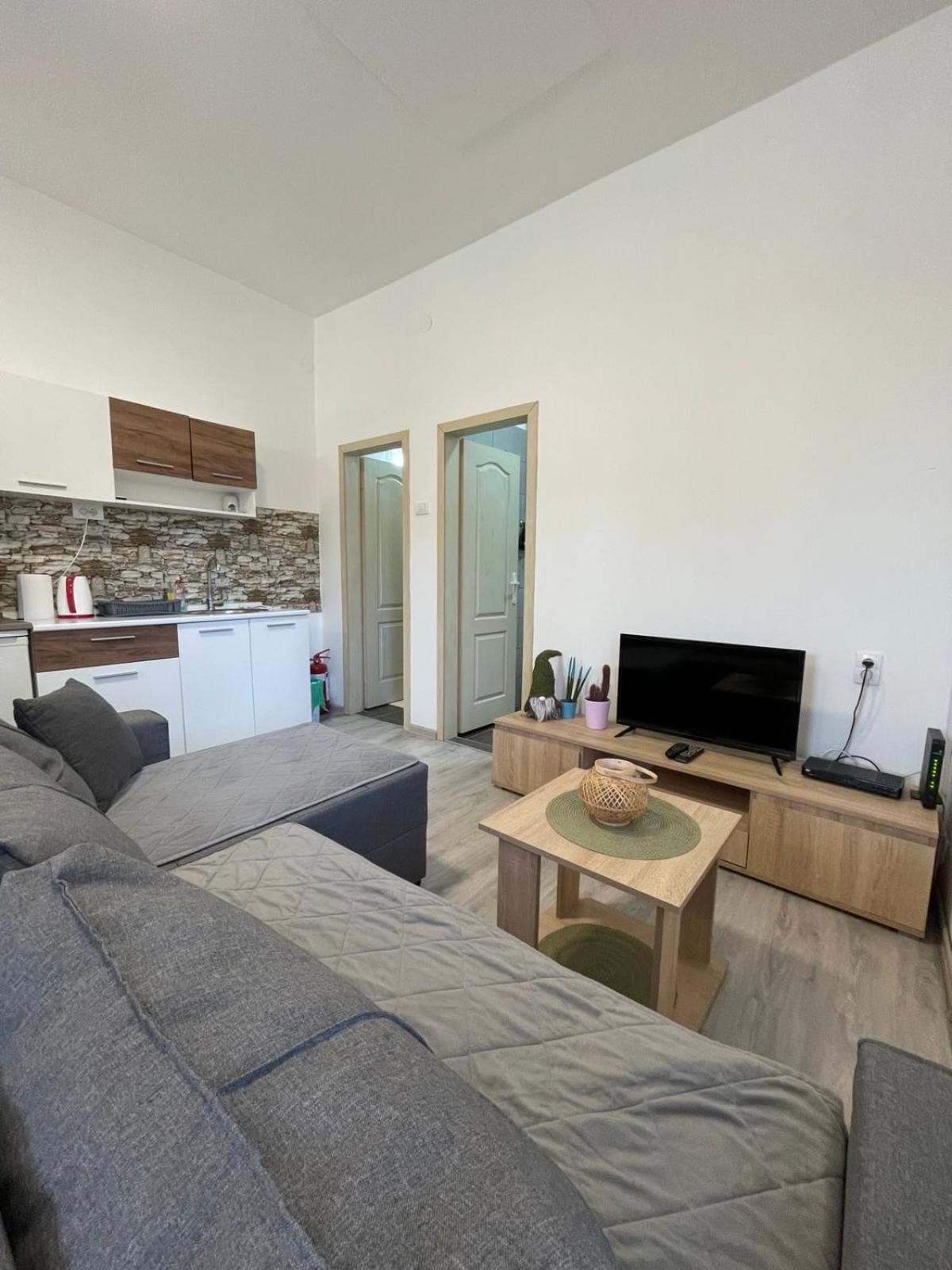 Kikinda Apartman Arthur מראה חיצוני תמונה