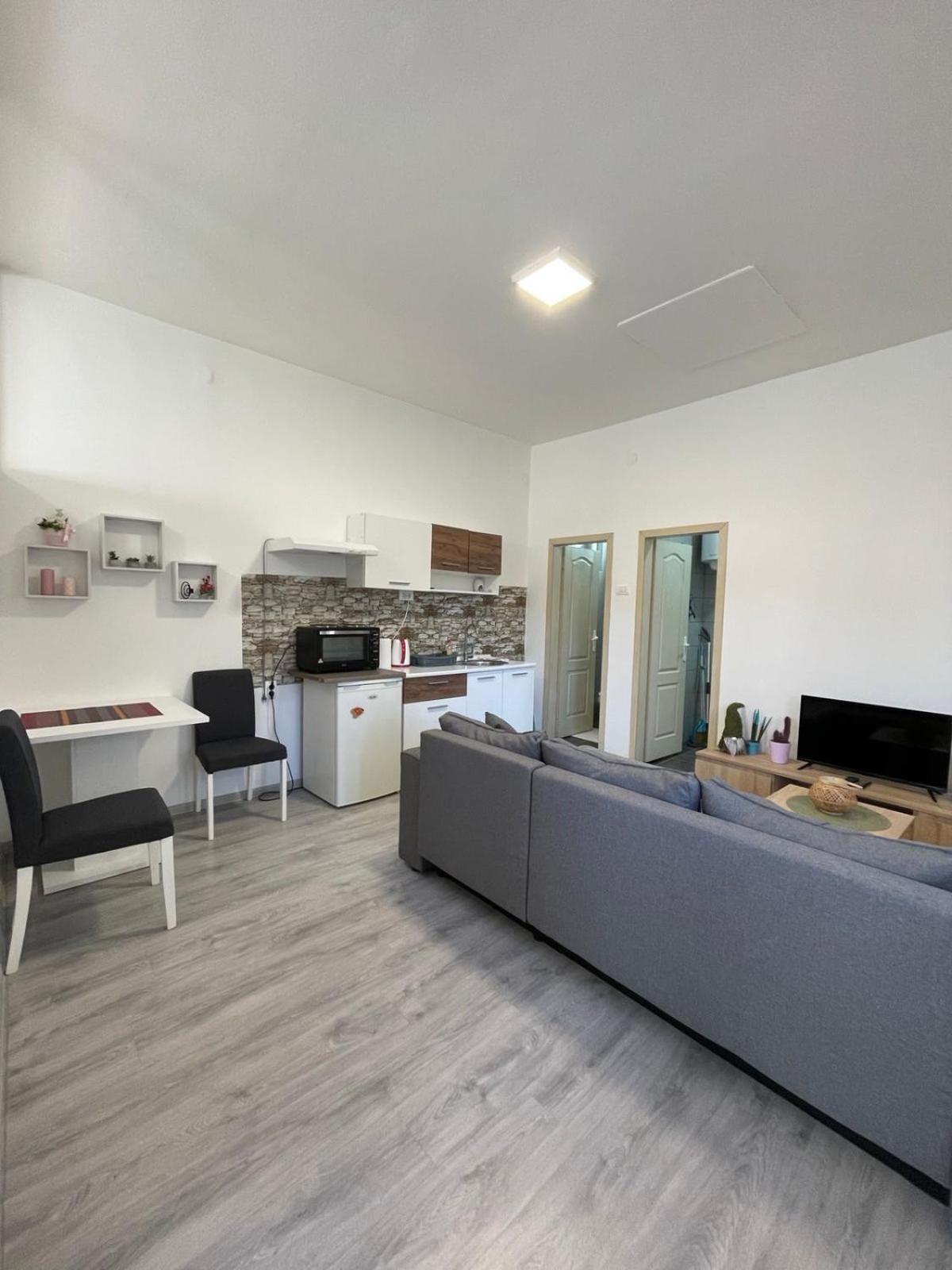 Kikinda Apartman Arthur מראה חיצוני תמונה